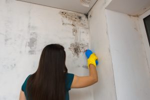 Uma mulher limpando o mofo em casa que está na parede.