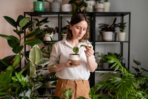 Mulher segurando vaso com sua Decoração com plantas e natureza indoor