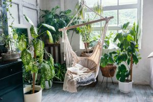 Sala com Decoração com plantas e natureza indoor