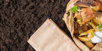 Compostagem doméstica restos de alimento