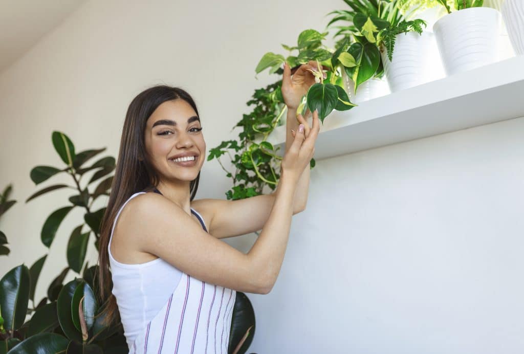 Benefícios das plantas nativas no ambiente interno