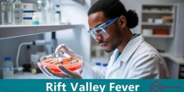 Rift Valley Fever vaccine trials: advances worth noting