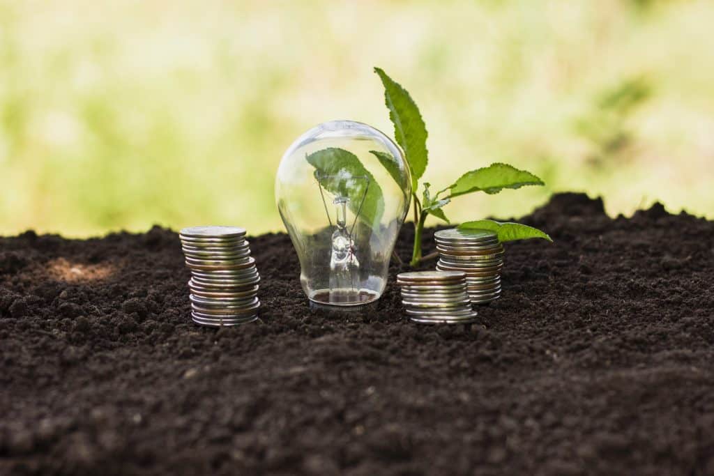 O que é a isenção da tarifa social de energia?