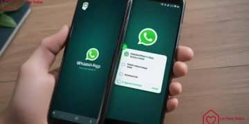 Como fazer backup do WhatsApp corretamente