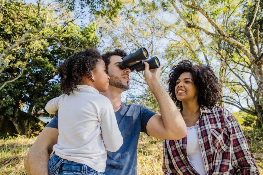 Cape Town, Durban and Gqeberha Offer Different Experiences