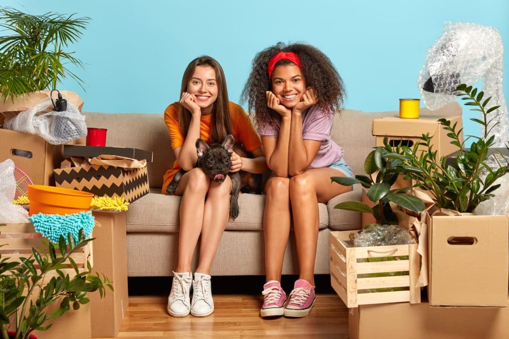 Pequenos detalhes utilizados para renovar a decoração de uma sala